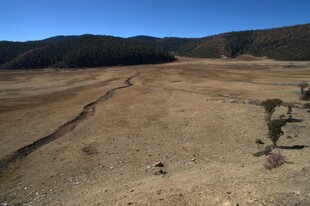 普达措森林公园