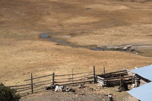 普达措森林公园