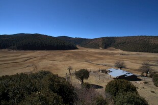 普达措森林公园