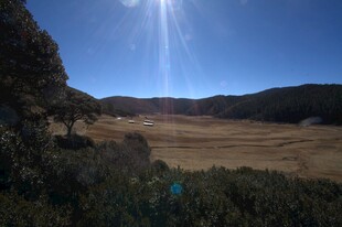 普达措森林公园