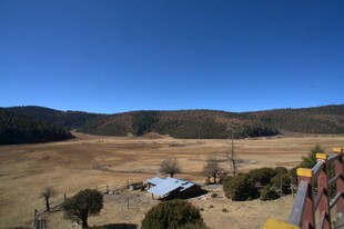 普达措森林公园