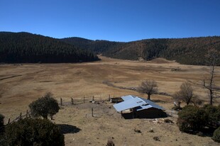 普达措森林公园