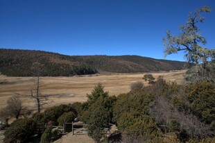普达措森林公园