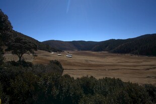 普达措森林公园