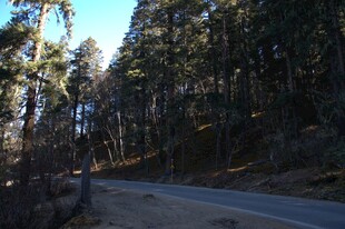 普达措森林公园