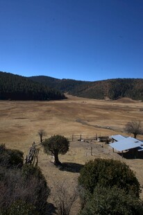 普达措森林公园