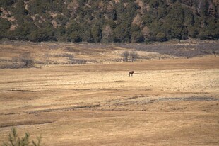 普达措森林公园
