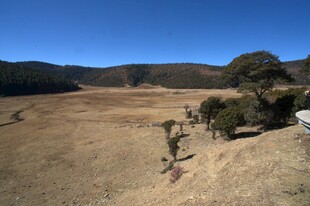 普达措森林公园