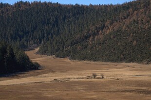 普达措森林公园