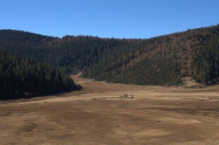 普达措森林公园