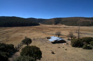 普达措森林公园