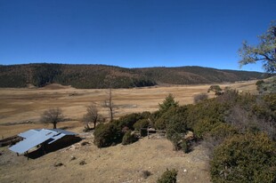 普达措森林公园