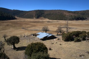 普达措森林公园