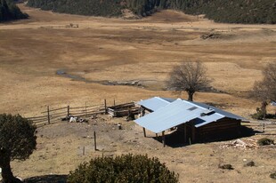 普达措森林公园