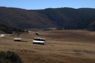 普达措森林公园