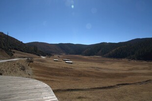 普达措森林公园