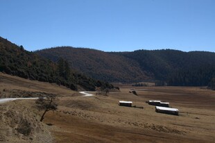 普达措森林公园