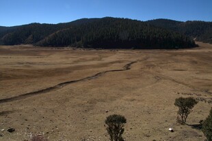 普达措森林公园