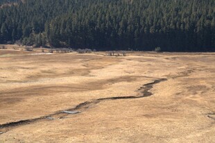 普达措森林公园