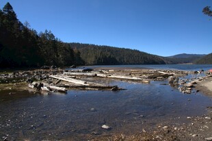 普达措森林公园