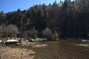 普达措森林公园