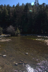 普达措森林公园