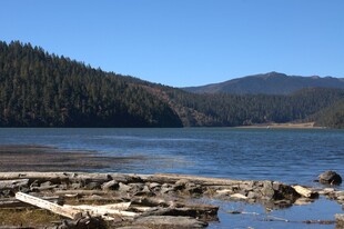 普达措森林公园