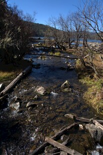 普达措森林公园