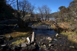 普达措森林公园
