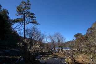 普达措森林公园