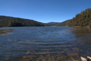 普达措森林公园