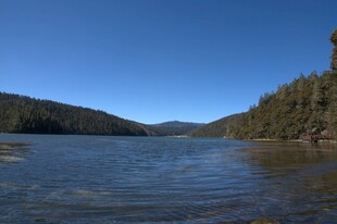 普达措森林公园