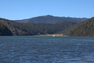 普达措森林公园