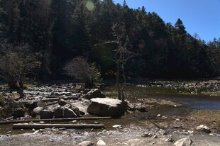 普达措森林公园