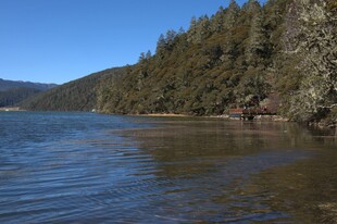 普达措森林公园