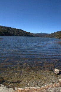 普达措森林公园