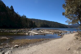 普达措森林公园