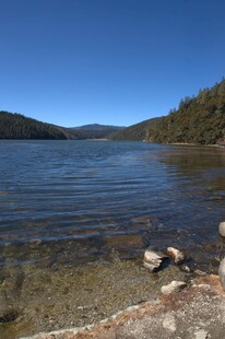 普达措森林公园