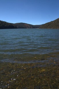 普达措森林公园