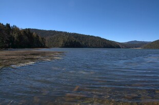 普达措森林公园