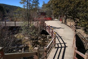 普达措森林公园