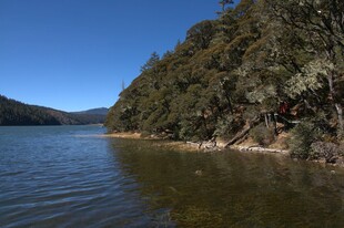 普达措森林公园