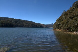 普达措森林公园