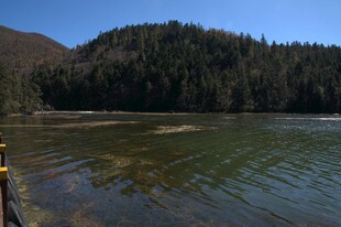 普达措森林公园