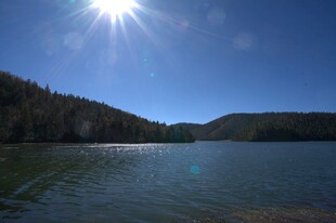 普达措森林公园