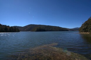 普达措森林公园