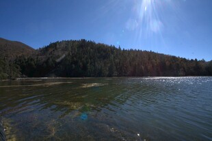 普达措森林公园