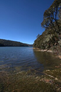 普达措森林公园