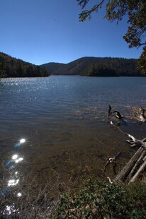 普达措森林公园