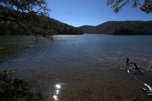 普达措森林公园